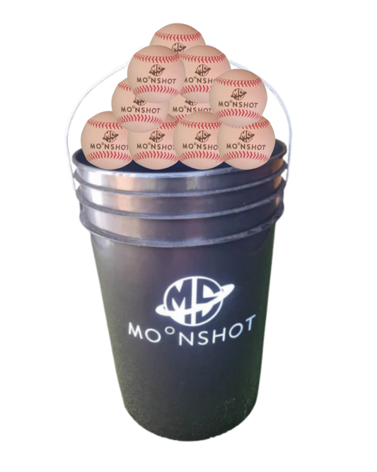 CLEARANCE DEAL - Bucket + 4 dozen Leather Practice Balls
