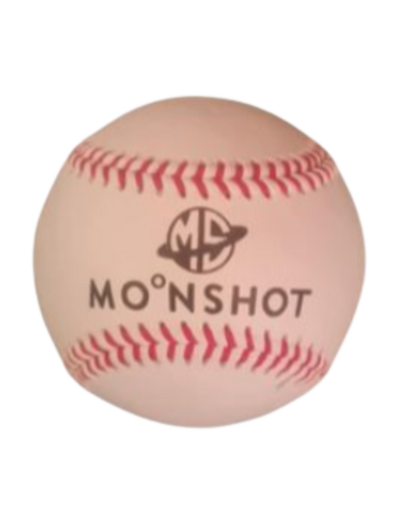 CLEARANCE DEAL - Bucket + 4 dozen Leather Practice Balls