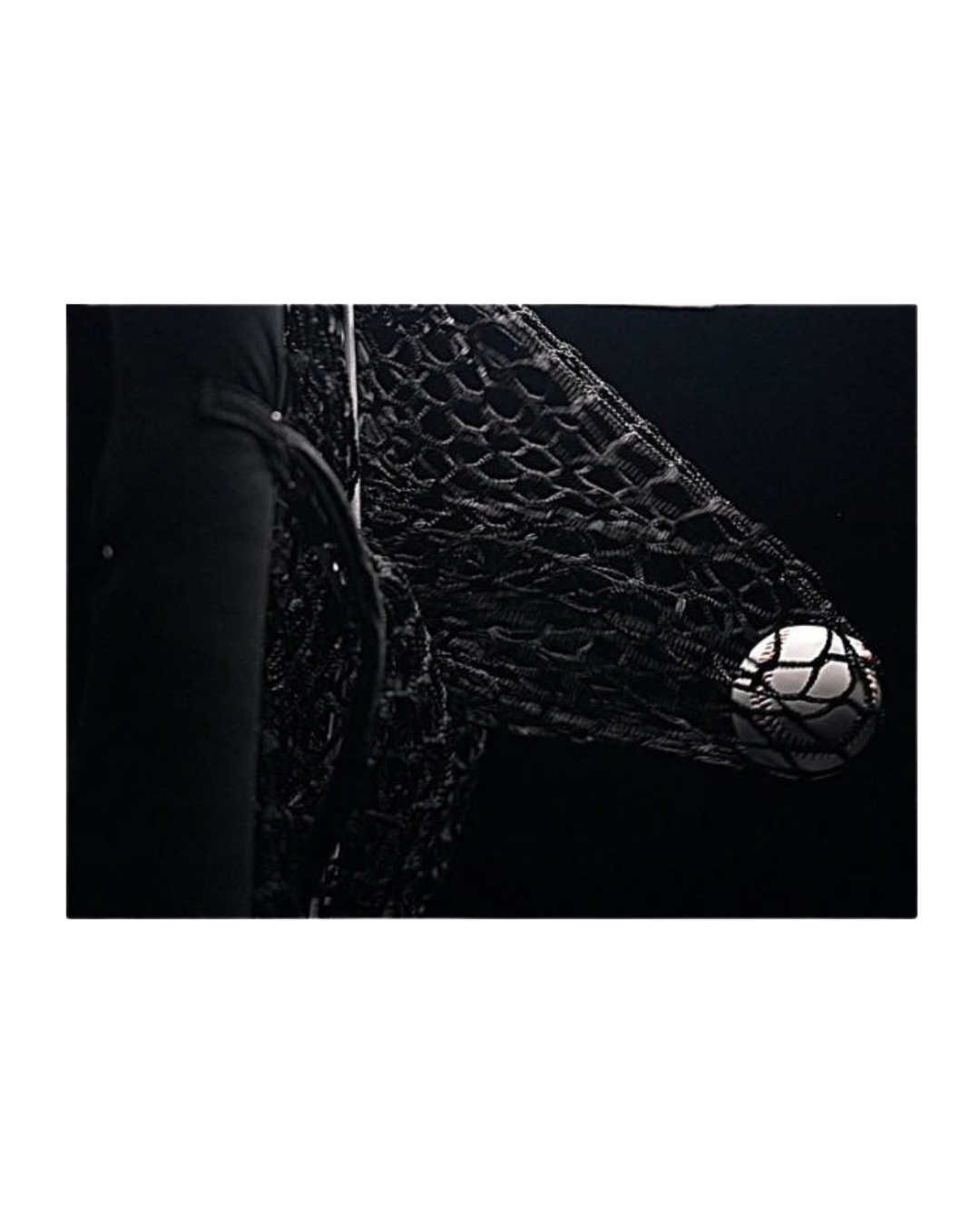 Pitching Net with 9 Hole Strike Zone